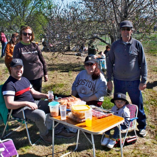 Almendro en flor 2026 (24)